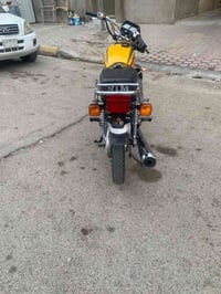 ارشه • شاصي ١٥ • معمر ٢١