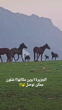 سفرت العيد مجانا • دهوك • سليمانية