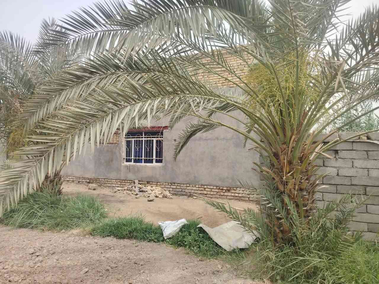 بستان زراعي كافه الخدمات مع بيت المساحه ٢٠٠م متكامل زراعي المساحه الكليه دونمين للستفسار أكثر ***********  ناحيه أور السديناويه
