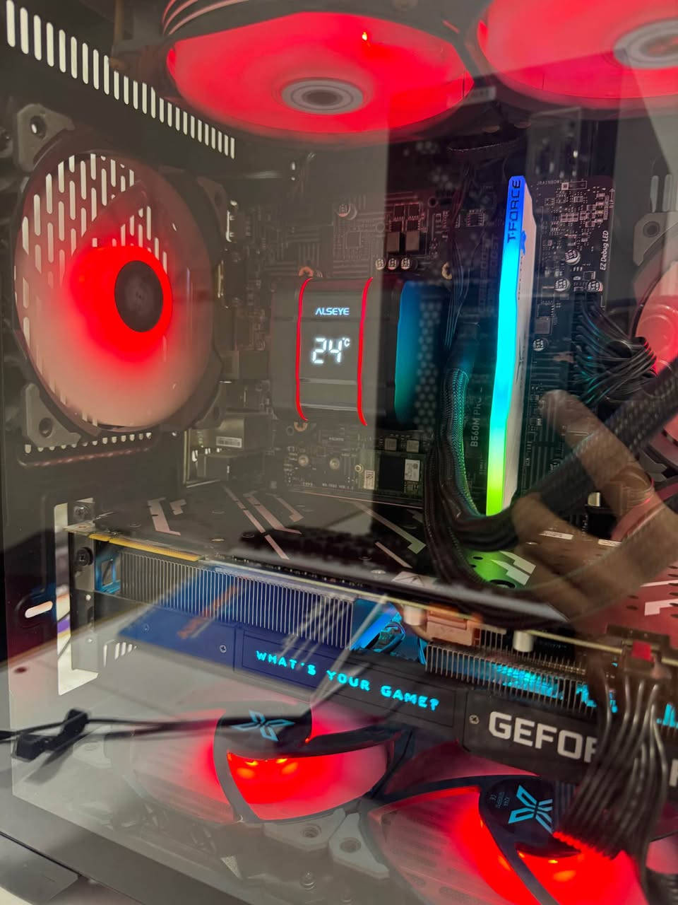 640$ 

pc
CPU: intel i5 gen 10
GPU: RTX 2080 super
RAM: 16 / 3600hz T-force
HARD: 512 ssd nvme 
COOLER: liquid cooler 
کەیسێکی زۆر بەهێز بۆ ئاستی 2k أربيل, العراق


**إذا كنت صاحب هذا الإعلان وتريد حذفه لأي سبب، رجاءا أرسل رسالة إلى الدعم الفني**