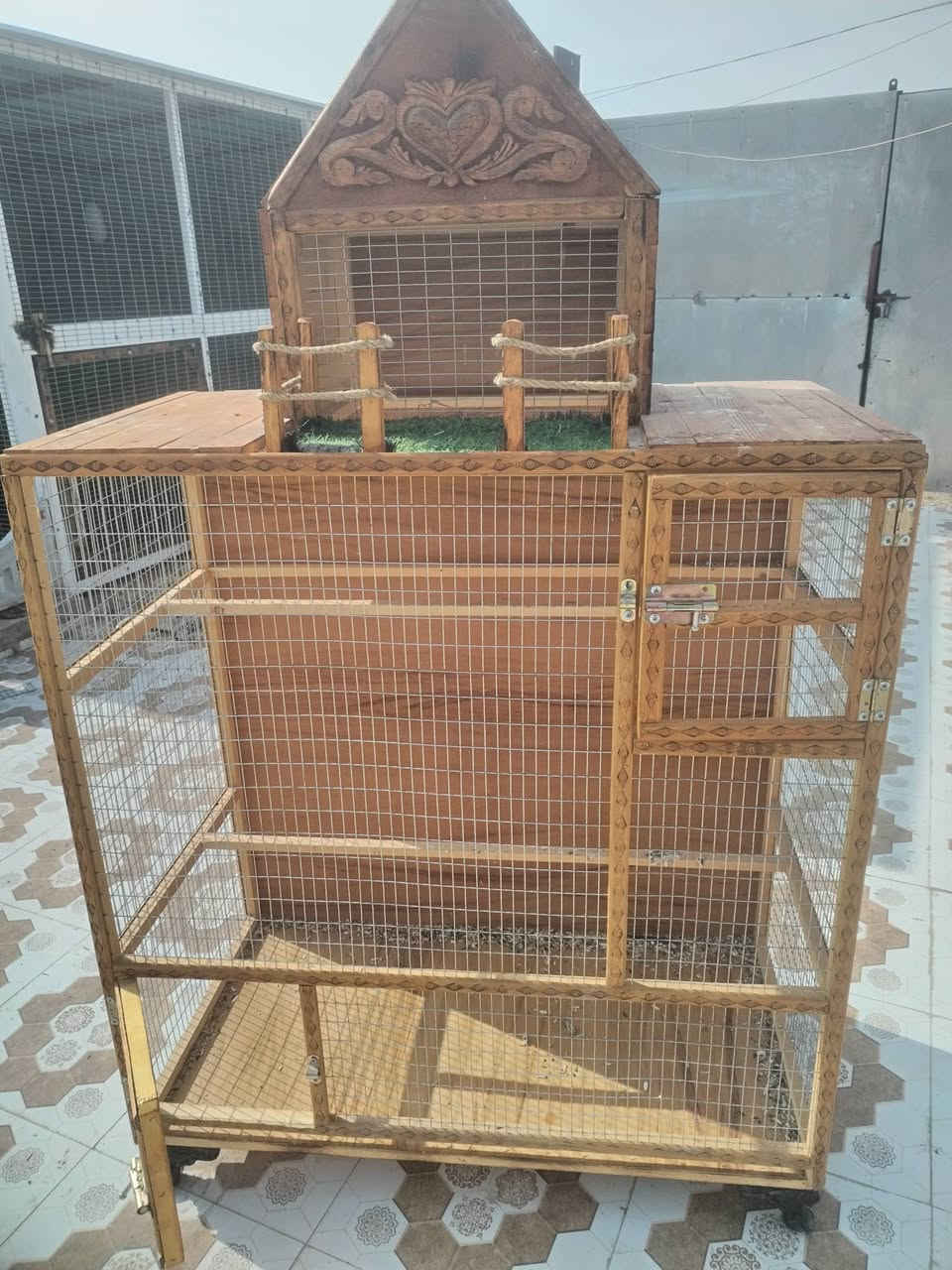 قفص للبيع الشراري يتصل عله  رقم ***********
