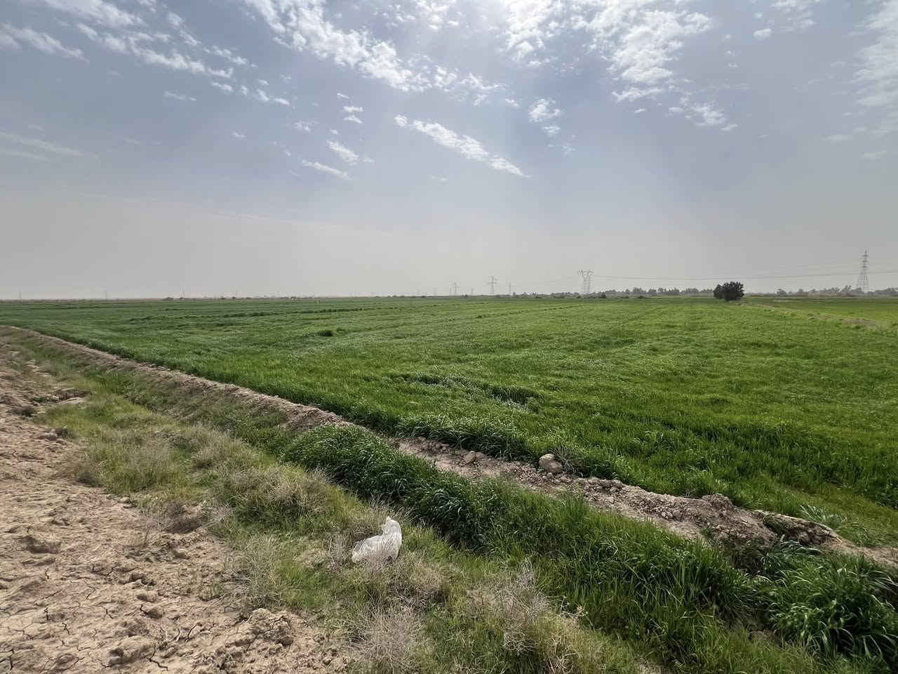 السلام عليكم ارض زراعيه
واسط / منطقه البسروكيه 20دونم عقد 35 الماطور بحلك الكاع متوفر ماء يمها شتاء وصيف مضخه كهربائيه  مثل ماموضح بلصور الاستفسار ع رقم ***********

/***********
