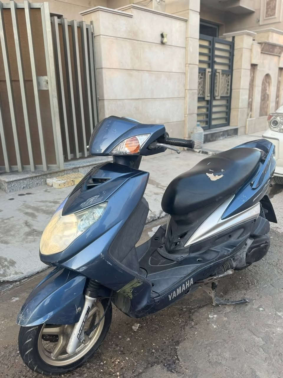 سلام عليك سكنس فحل للبيع فقط                                              نوزل                                                                                 السعر 950 وبيها مجال                                                         المكان بغداد البلديات                                                                الرقم ***********
