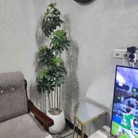 سندانة زجاج • ١٨٠ سم • توصيل مجاني