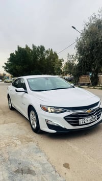 ماليبو • ٢٠١٩ • كلين تايتل