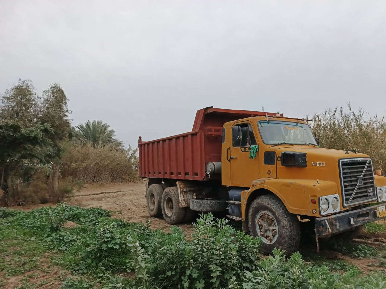 قلاب فالفو موديل 82مكينه ان 10ستندر مكينه كير كلج كهربائيات هوا جاهزه من كلشي من فضل الله بيع مراوس كيه حمل ترهم مكاني النعمانيه رقم تحويل رقمي ***********
