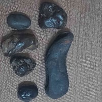 هبهاب • وجبة • للبيع