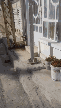 السلام عليكم ..بيت للبيع مساحه 51 متر واجها 5×10 مدخلين بناء جديد يتكون من صاله ومطبخ وحولي وصحيات الطابق الأرضي طابق ثاني غرفتين نوم موقع حلو شارع البداله مربع سعاد النقيب قريب جدا من السوك وشارع البداله شارع 15 متر السعر المطلوب 150 مليون مع المجال  للاستفسار اكثر الاتصال ع
***********
