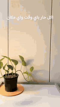 رجعنا وفرناه اللانج بوكس او الصفر طاس الكهربائي يناسب الكل موظفين وطلا...