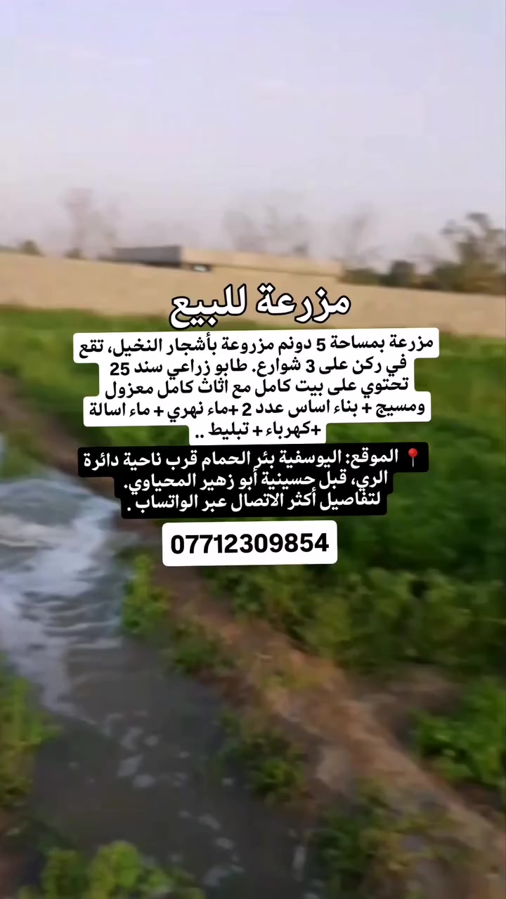 مزرعة للبيع في اليوسفية.
مزرعة بمساحة 5 دونم مزروعة بأشجار النخيل، تقع
في ركن على 3 شوارع تحتوي على بيت كامل مسيج
ومعزول.
+بناء أساس عدد 2 مال محلات وقريبة من
دائرة الري. تفصلها عن البيوت السكنية فقط قطعتين
قانون .25 . المالك علوية تسكن بغداد، وبتالي هي
مخصصة فقط للوقت الفراغ في العطل.
يمكن بيع المزرعة كاملة أو دونم أو دونمين حسب الاتفاق..
الموقع اليوسفية بئر الحمام قرب ناحية دائرة الري
قبل حسينية أبو زهير المحياوي
للاستفسار يمكنكم الاتصال عبر الواتساب على الرقم
.***********

#عقارات #مزرعة_للبيع #عقارات_للبيع #قطعة_ارض_للبيع #عقارات_بغداد #عقارات_اليوسفية
