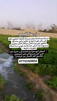 مزرعة اليوسفية • ٥ دونم • نخيل