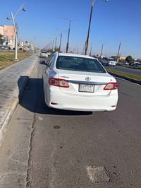 كورلا • وارد امريكي • الفلوجه