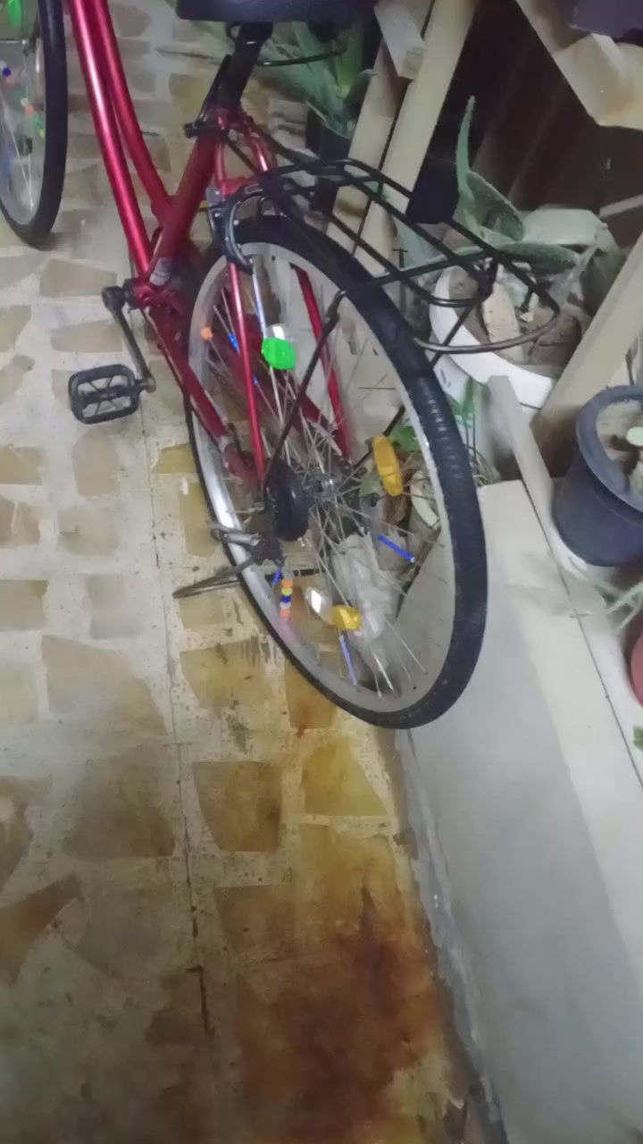 سلام عليكم  الباسكل عبدالحليم كلشي مابي شغال الحجم 26ياباني الموديل 18 السعر 75 ابي مجال المكان الموصل


**إذا كنت صاحب هذا الإعلان وتريد حذفه لأي سبب، رجاءا أرسل رسالة إلى الدعم الفني**