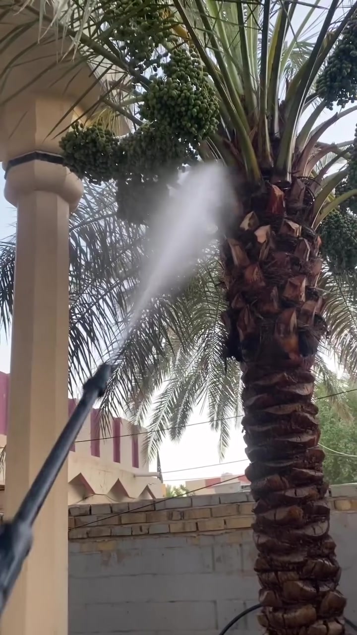 مكافحه ثمار النخيل وغسل النخيل وجعل الثمار ممتازه بدون عناكم وامراض وأرضا بيكم خير وتدللون الي يريد يعالج يدلل بأنسب الأسعار  
للعلم علاج عناكب فعال وآمن 
***********
متواجد خاص او واتساب او اتصال
