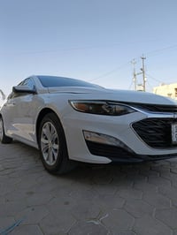 ماليبو • ٢٠٢٣ • رقم بصره