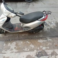 بريز ببغاء • جاهزة • بغداد