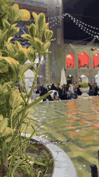 رحله قم مشهد انطلاق 11/20
 نقل VIP فنادق قرب الحرم
 3 وجبات طعام كله هذا بسعر 175 الف 
سارعو بالحجز ‭0771 957 9746‬
كوت ؛ شارع النسيج (شركة النعمة )
