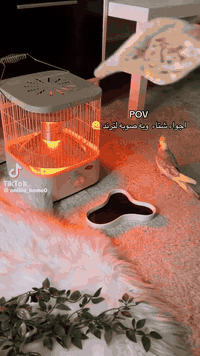 اهلا وسهلا بكم معرض انسب 
وصلت الصوبه الترند ابسعر 🔥 🔥 
زورونا ستجدون مايرظيكم توجد خدمه توصيل استفسار ***********
***********
