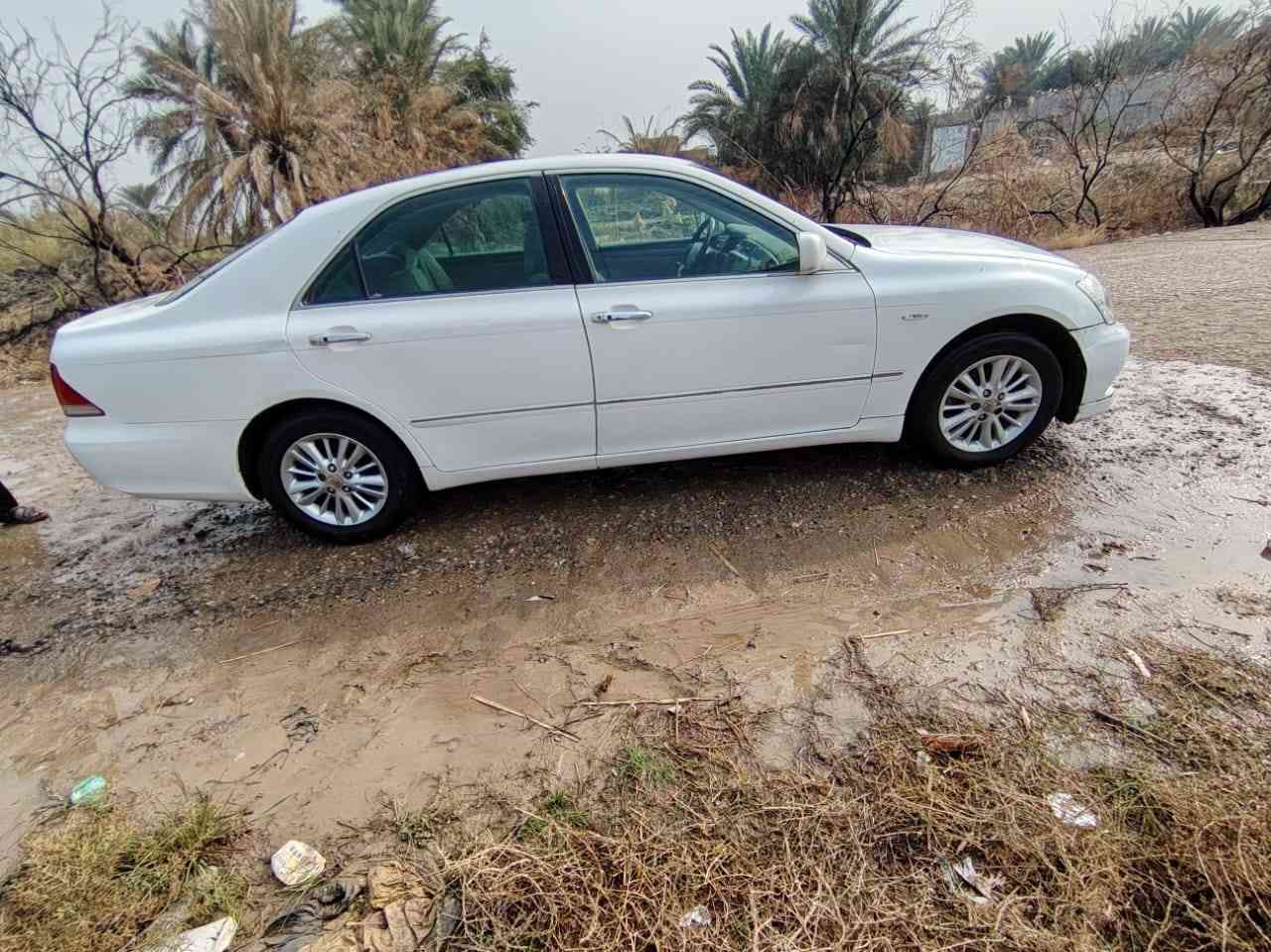 شاهينه موديل 2007 كصه جنطه أدوات أدوات دخول جديد توه كملت بعدهي بدهن الشركه ٣تلث دكم برده خلفيه ٦بصمات تخم تاير كير ومكينه كفاله جاهزه من كلشي السعر 35 المكان ذي قار  ***********
