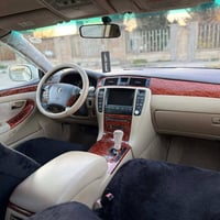 شاهینە مووس • ٢٠٠٥ • زەرد