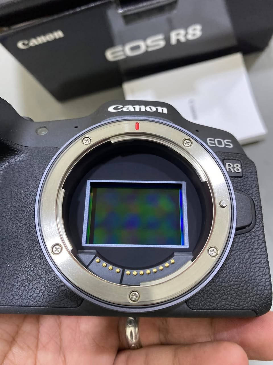 للبيع 🔥  

كاميرا كانون R8 ، بحالة شبه جديدة، الاستخدام قليل جدًا 📸  

أداء عالي وجودة تصوير احترافية مناسبة لكل اللي يحبون التصوير والفيديو.  

💰 السعر : 1,300,000 دينار عراقي  
📩 التواصل خاص
مكاني الديوانية توصيل موجود


**إذا كنت صاحب هذا الإعلان وتريد حذفه لأي سبب، رجاءا أرسل رسالة إلى الدعم الفني**