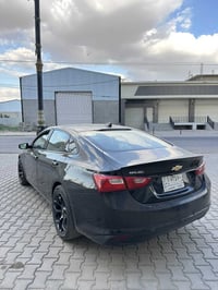 ماليبو • ٢٠١٩ • رقم كركوك