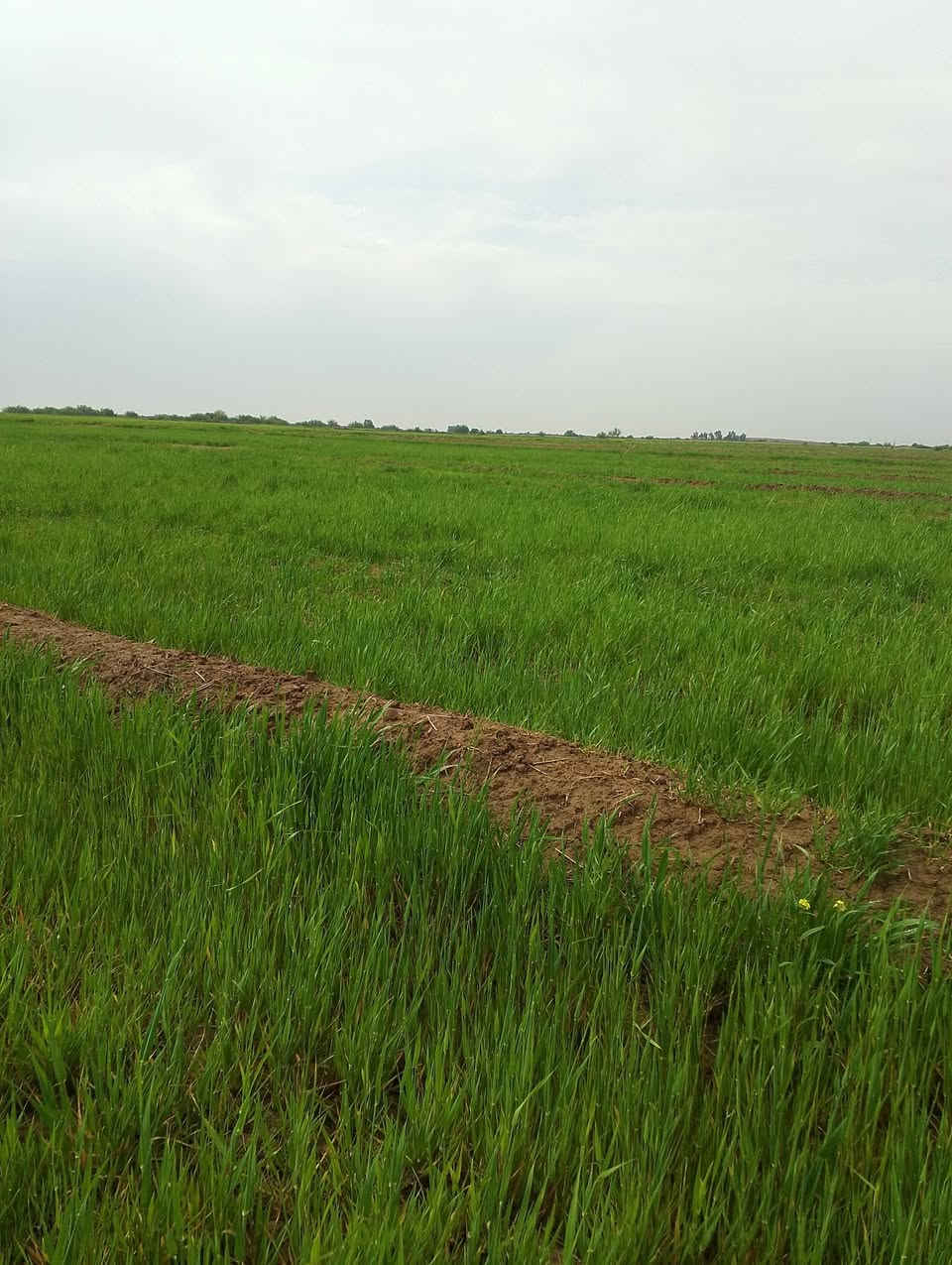 چاير للبيع 100 دونم
تواصل ***********
