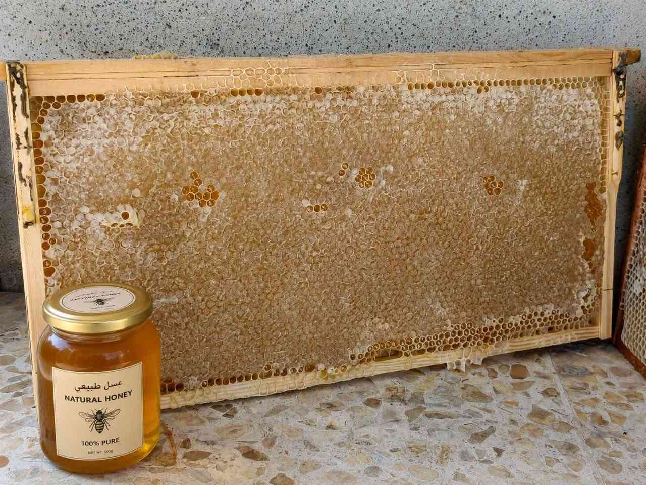 عسل طبيعي خالي من الاضافات 100٪
خلي تم واجيك خاص🍯🐝


**إذا كنت صاحب هذا الإعلان وتريد حذفه لأي سبب، رجاءا أرسل رسالة إلى الدعم الفني**