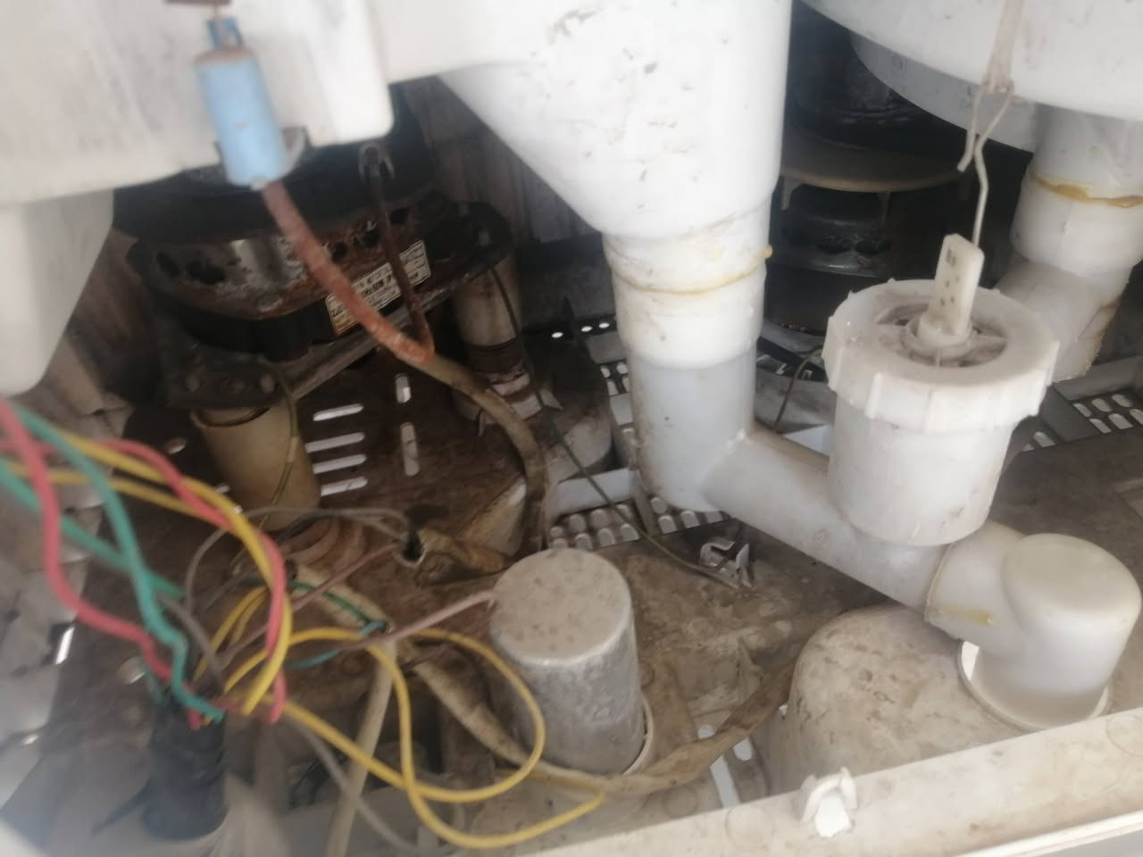 غساله نضيفه ما واصله مصلح شرط الشغل


**إذا كنت صاحب هذا الإعلان وتريد حذفه لأي سبب، رجاءا أرسل رسالة إلى الدعم الفني**