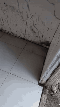 تركيب سيراميك • خبرة سنتين • يومية