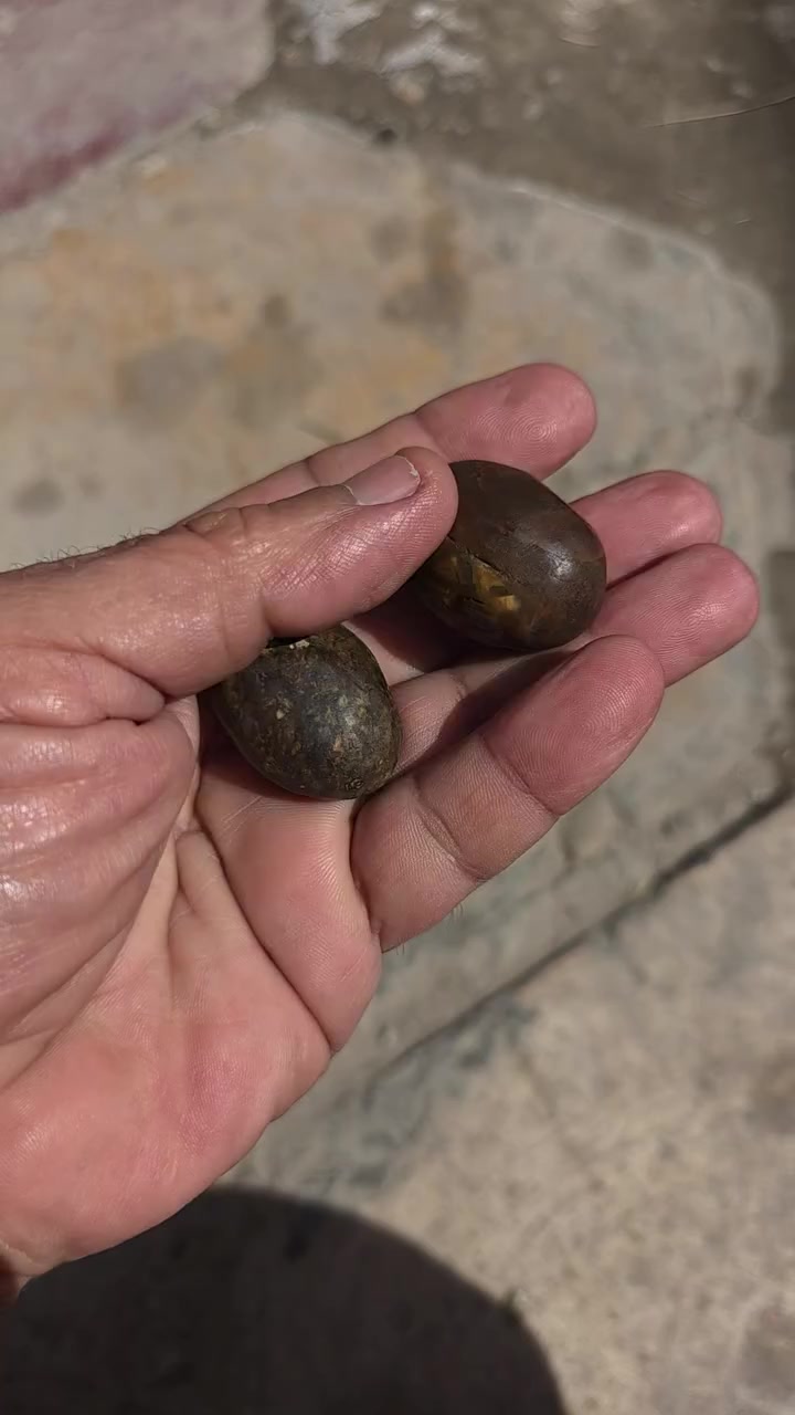 داودي خامه ملاكط قديمات جدا


**إذا كنت صاحب هذا الإعلان وتريد حذفه لأي سبب، رجاءا أرسل رسالة إلى الدعم الفني**