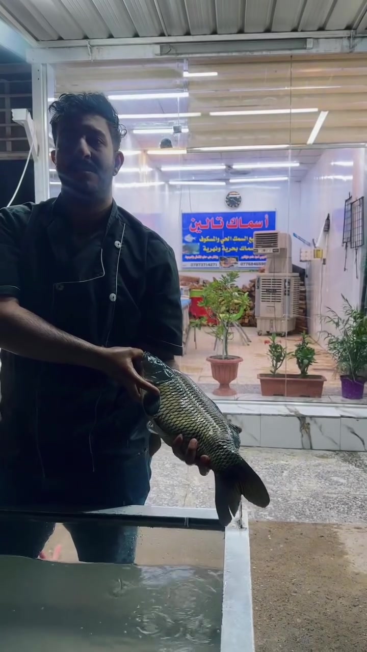 🔥 عرض  لعشاق السمك المشوي 🔥
أشهى المسكوف على الفحم بطعم ولا أروع 😍
🐟 سمك طازج يومياً
🍞 خبز حار مباشر من التنور
🥗 طرشي ومقبلات كاملة
🔥 شوي على الفحم أمام الزبون
💰 أسعار مناسبة ووزن حسب الطلب
📦 يتوفر توصيل سريع 
📞 للحجز والطلب واتساب:
***********.         ***********
📍 زورونا وجرب الطعم الأصيل
اسماك ومسكوف تالين 
حي دجلة مجاور مول لارين
