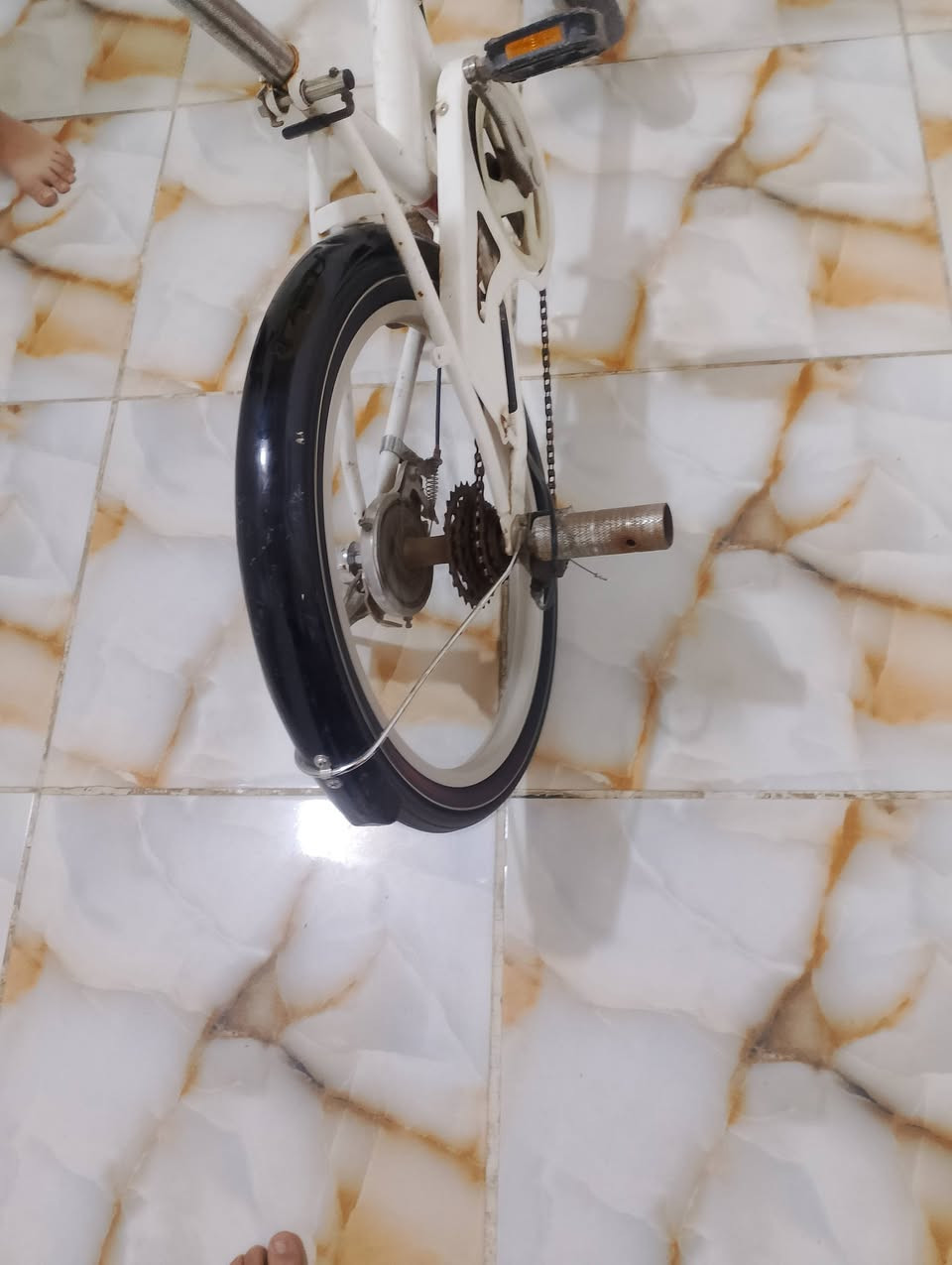 بايسكل موديل 19لون ابيض طباكي باله السعر 80 حجم 20 عنوان دور ضباط بصره


**إذا كنت صاحب هذا الإعلان وتريد حذفه لأي سبب، رجاءا أرسل رسالة إلى الدعم الفني**