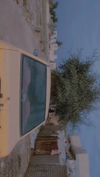 سايبا • ٢٠١١ • سنوية ضايعة