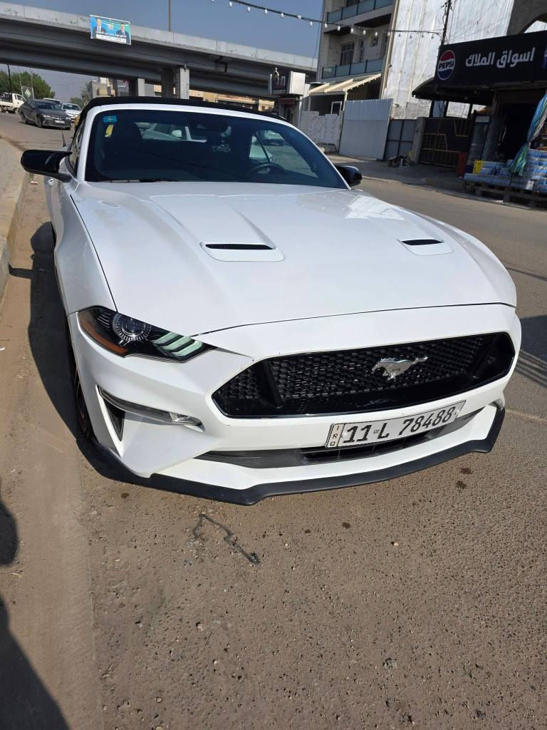 السلام عليكم للبيع او للمراوس موستنك ٢٠٢٣  ابيض ماشيه ٣١ الف ميل فول مواصفات بريميوم حادث بنيد وجاملغ وباب الصدر صبغ ٣ قطع راس  الشاصي ضرر وبدل جزء بسيط منه راجع بلاد والباقي كله جاهز رقم بغداد باسمي مكاني المنصور السعر ١٦٨ وبيها مجال *********** بغداد, العراق
