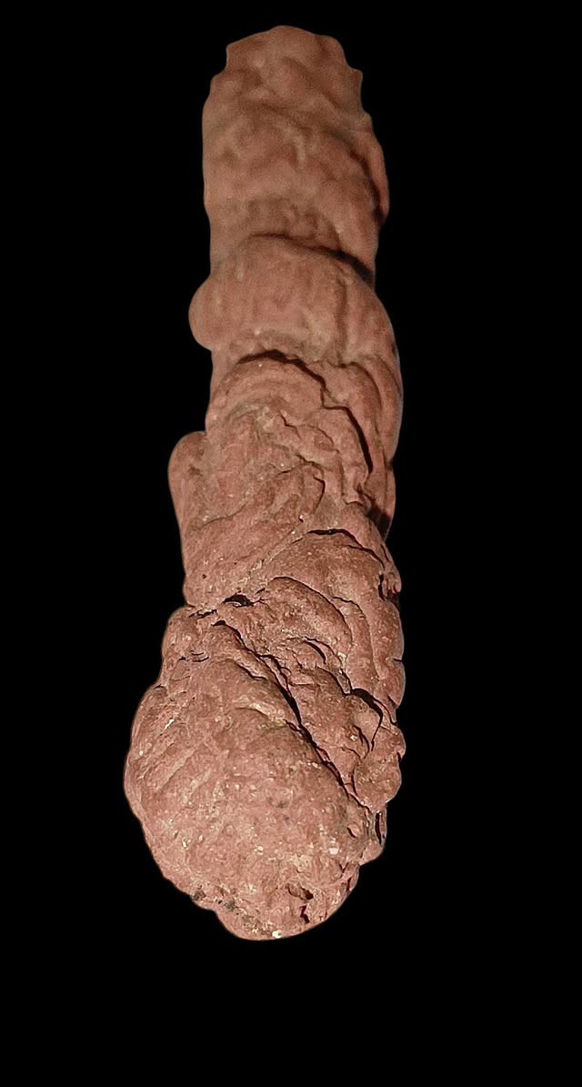 وينه اليدور مال زماط وشرط الشغل. ويسطر سطر تحف وانتيك عرك هبهباب مغربي لوي قديم واحد على واحد  فول الفول وشرط الشغل تاخذة منجم 14 ليلة وبي توكيل عام وخدام وجاهز للحمل يعمل محبه نساء ورجال قبول طاعة خضوع جلب عكد لسان وتسهيل امور دوائر دولة جاها وجاها يوجد توصيل ***********       ***********
