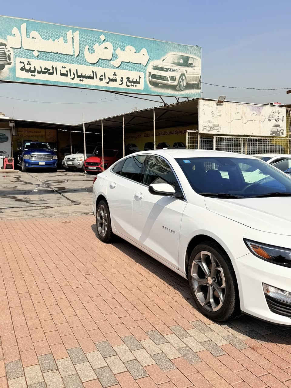 السلام عليكم شباب السعر تفليش 120 🙅🙅
اليوم عندنا ماليبو 2024 مكفوله من الصبغ فقط بارد جاملا خلفي بدون ايرباك رقم بغداد تحويل مباشر داخل معرض ومزادالسجاد عنوان بغداد الحبيبيه معارض الحبيبيه معرض ومزاد السجاد لتجارة السيارات متواجدين من الساعه التاسعه صباحا لى الساعه السادسه مساء تليفون ***********
