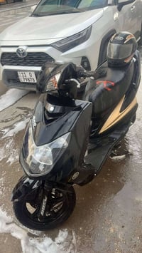 درجه للبيع خير من الله والله  سكنس فحل كوري درجة شهر عندي من  من تجي ا...