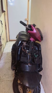 دراجة دولفين • محرك كلش زين • عوزه كفرات