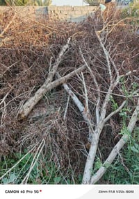 حطب • نهروان • قرب اسواق القمة