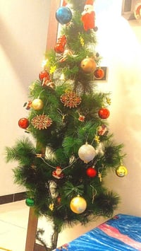 شجره للبيع مكانه الحريه الثالثه بغداد 07752385268