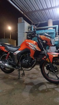 هاوجي DK • بدون أوراق • نظيف