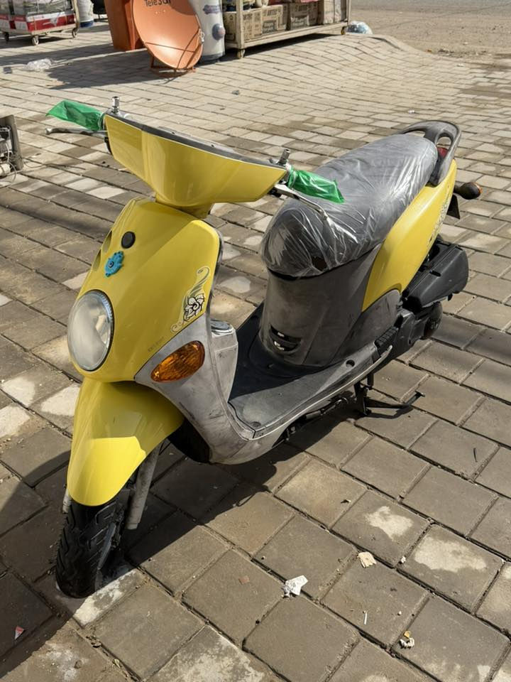 ‏سلام عليكم فل للبيع***********
