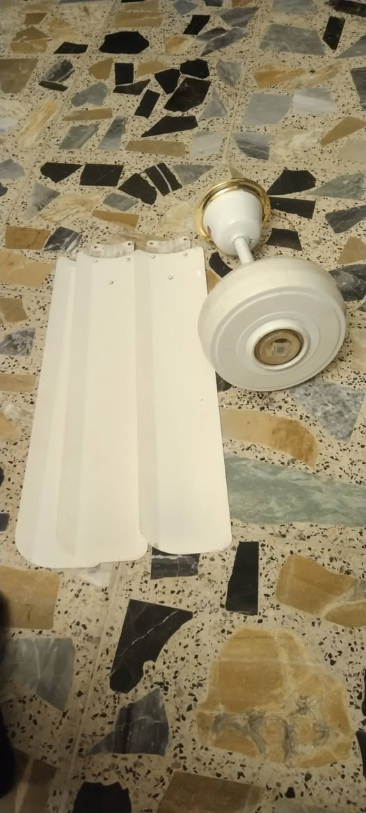 البيع سعره 25مكان مدينة الصدر


**إذا كنت صاحب هذا الإعلان وتريد حذفه لأي سبب، رجاءا أرسل رسالة إلى الدعم الفني**