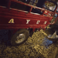 شباب ستوته للبيع موديل 19 اوراق اصوليه ستوته مكينه ناعمه حلووه مال شغل...