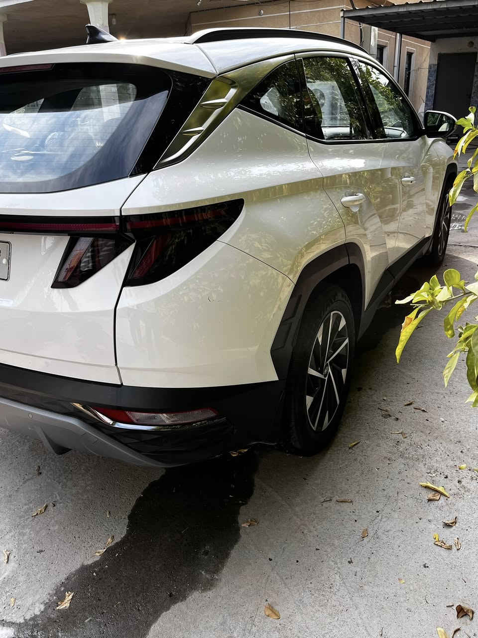 السلام عليكم

توسان 2023 ( خـليـجـي )

ماشية53 الف 

فول مواصفات قمارة حديد 

•المحرك :  دوش 2000

•دخول ذكي

•تشغيل عن بعد 

•تشغيل بصمة

•لايت دوار معه الاستداره 

•مري شفط 

•كشافات 

•شاشة كبيرة 

•حساسات امامية خلفية

داخل مخمل

•تتسع المقصورة ل 5 ركاب 

•مقاعد امامية كهرباء عدد2

•مثبت سرعة  control Cruise 

•أوضاع القيادة Drive Mode ايكو_سبورت_نورمال 

•فول تحكم ستيرن

•هاند بريك بصمة

•نظام مانع الانزلاق 

•أشاير بالمري 

•اوتو هولد

•شحن وايرليس

. مدخلين  USB 

•ستائر ابواب خلفية

•مري كهرباء

•مود درايف

•تبريد امامي خلفي قطعتين

باقي المواصفات المعروفه 

تحويل ثاني يوم
السيارة بيها رصعه خفيفه بالبنيد و الجاماغ الايسر
السعر ٢١٠ وبيها مجال للشراي  
مكان بغداد اليوسفية 

***********
