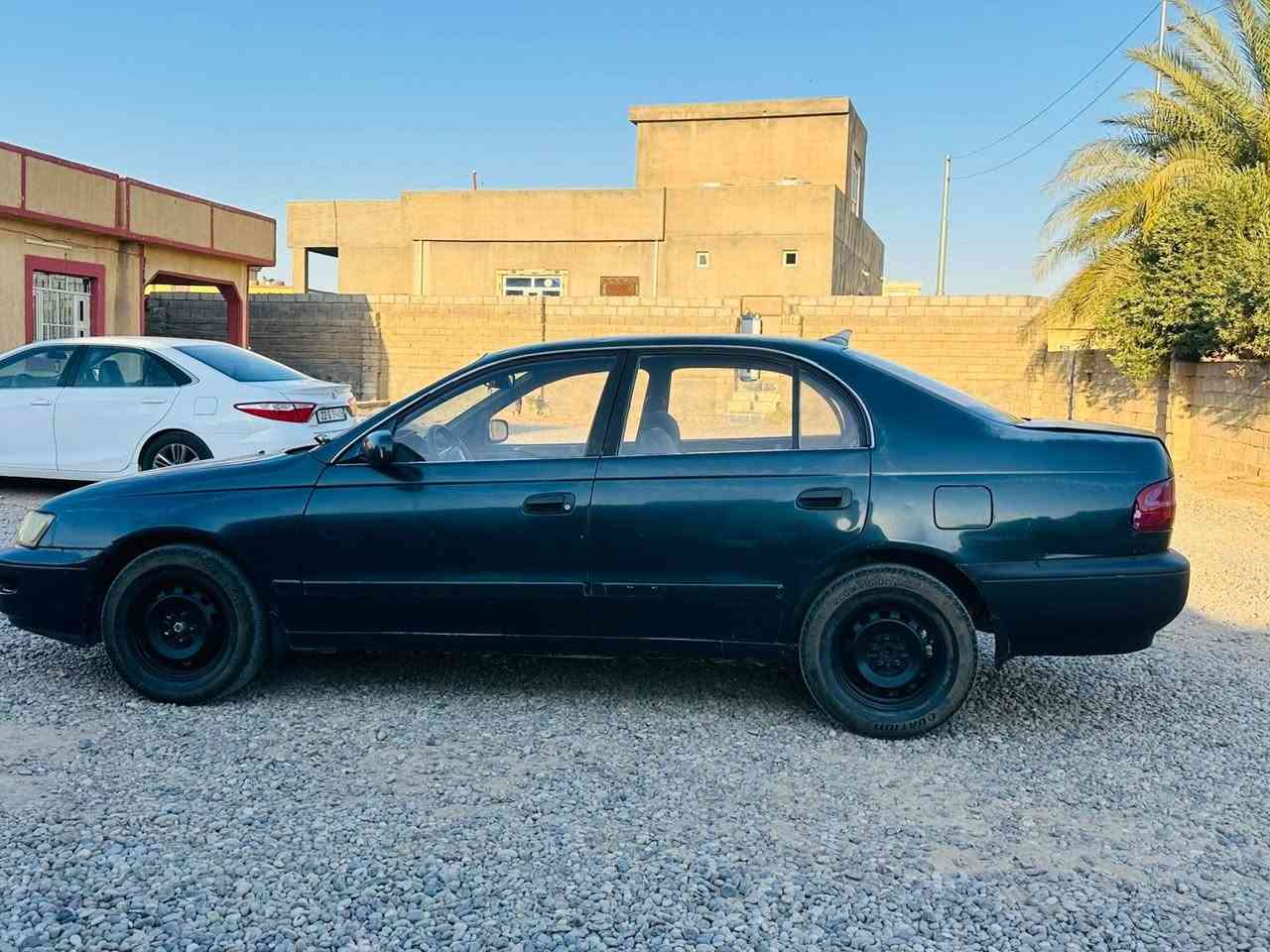 السلام عليكم.للبيع  فرخ بطه . كير عادي . سعر 38 وبي مجال محرك  وكير شرط مسجل نينوى رقم جديد شرط. وكاله تريد تحويل. ***********. ***********
