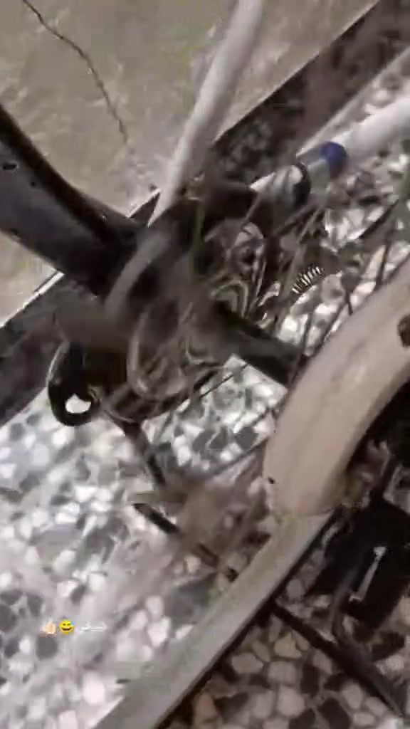 سلام عليكم👋🏻
باسكل ابيضBD مرغوب حالياأ باسكل نضيف
مديل22 غراض كامله 
مكان نجف يم الفلكه مال مطار
سعر 145وبي مجال للشراي
اذا بس تعامل لاتدخل خاص رجاأ


**إذا كنت صاحب هذا الإعلان وتريد حذفه لأي سبب، رجاءا أرسل رسالة إلى الدعم الفني**