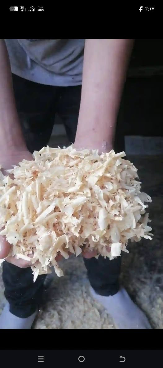 سلام عليكم توجد نشاره اثل🌲🐥🐔 للبيع توصيل طارميه وضواحيها ولباب المحل او للقاعه كميات كثيره سعر مناسب 📝خاص فقط رساله وتدلل


**إذا كنت صاحب هذا الإعلان وتريد حذفه لأي سبب، رجاءا أرسل رسالة إلى الدعم الفني**