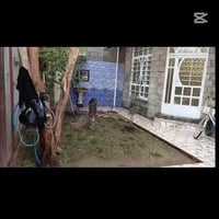 تحرير • زراعي • ٢٠٠م